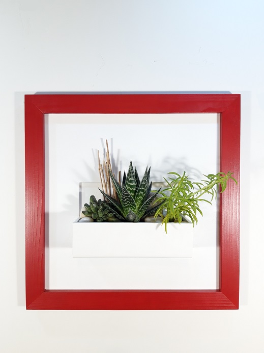 Cadre 44x44 rouge succulente