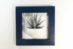 Cadre 24x24 succulente bleu