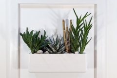 Cadre 44x44 blanc succulente